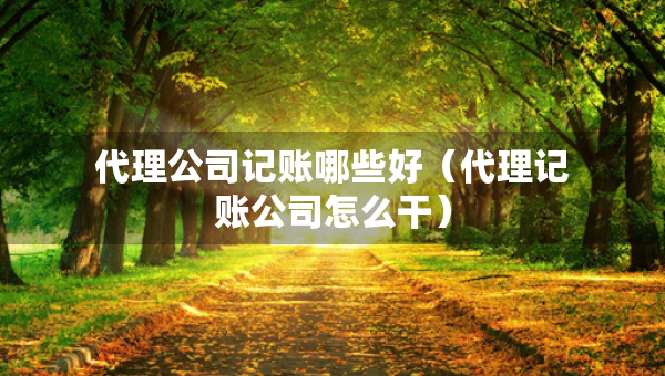 代理公司記賬哪些好（代理記賬公司怎么干）