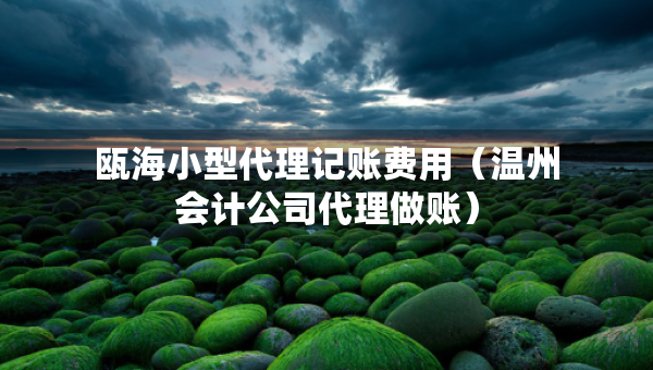 甌海小型代理記賬費用（溫州會計公司代理做賬）