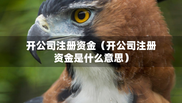 開(kāi)公司注冊(cè)資金（開(kāi)公司注冊(cè)資金是什么意思）