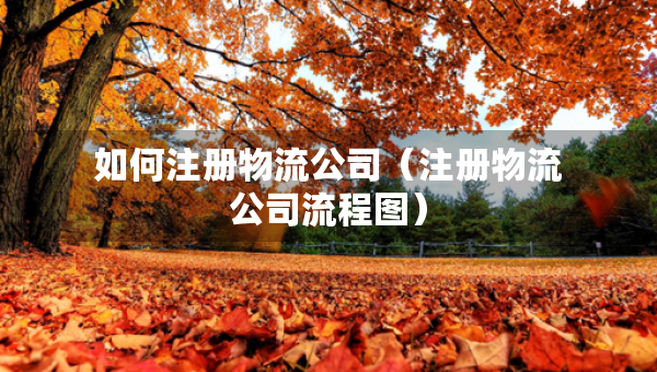 如何注冊(cè)物流公司（注冊(cè)物流公司流程圖）