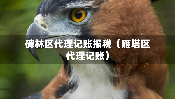 碑林區(qū)代理記賬報稅（雁塔區(qū)代理記賬）
