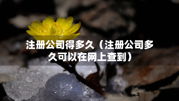 注冊(cè)公司得多久（注冊(cè)公司多久可以在網(wǎng)上查到）