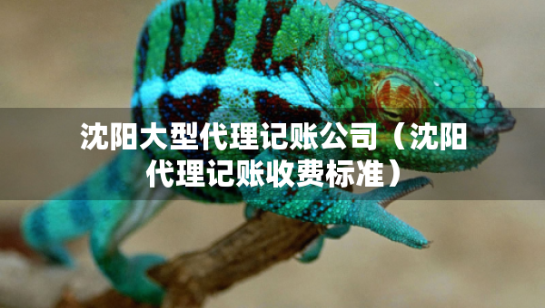 沈陽大型代理記賬公司（沈陽代理記賬收費(fèi)標(biāo)準(zhǔn)）