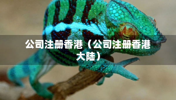 公司注冊香港（公司注冊香港大陸）