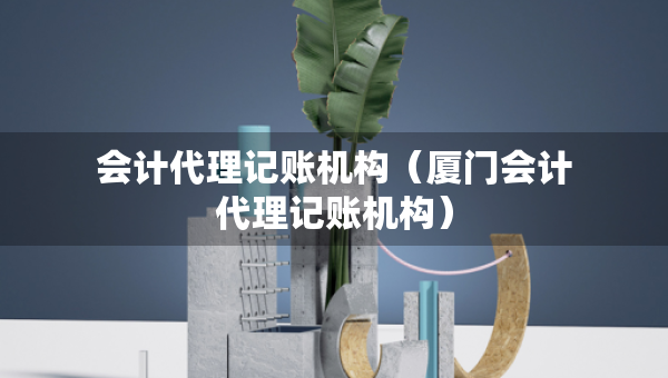 會計代理記賬機(jī)構(gòu)（廈門會計代理記賬機(jī)構(gòu)）