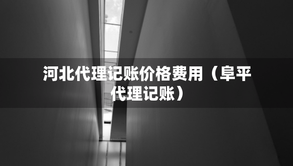 河北代理記賬價格費用（阜平代理記賬）