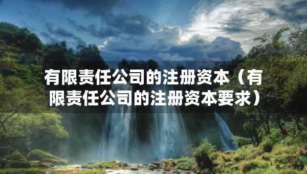 有限責(zé)任公司的注冊(cè)資本（有限責(zé)任公司的注冊(cè)資本要求）