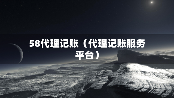 58代理記賬（代理記賬服務平臺）
