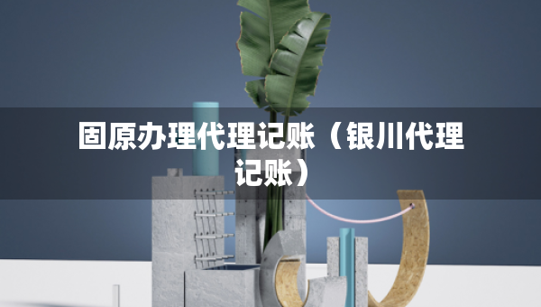 固原辦理代理記賬（銀川代理記賬）