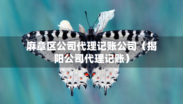 麻章區(qū)公司代理記賬公司（揭陽(yáng)公司代理記賬）