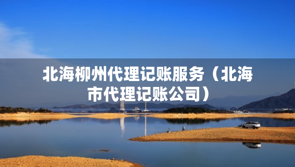 北海柳州代理記賬服務(wù)（北海市代理記賬公司）