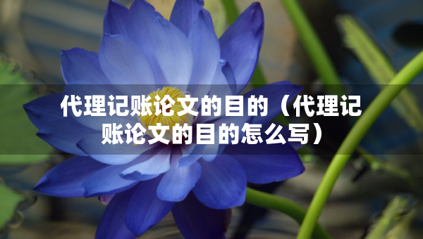 代理記賬論文的目的（代理記賬論文的目的怎么寫）