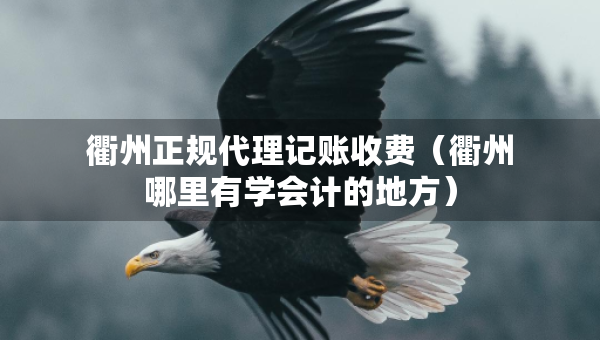 衢州正規(guī)代理記賬收費(fèi)（衢州哪里有學(xué)會(huì)計(jì)的地方）