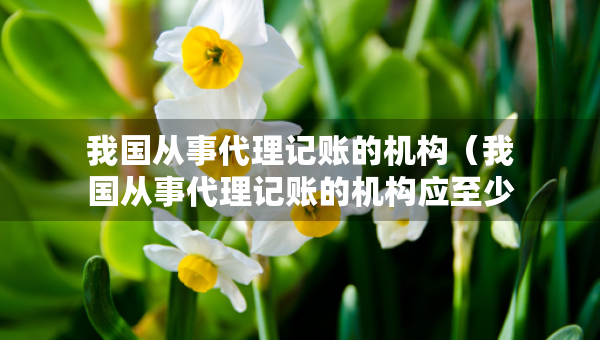 我國(guó)從事代理記賬的機(jī)構(gòu)（我國(guó)從事代理記賬的機(jī)構(gòu)應(yīng)至少有幾名會(huì)計(jì)專(zhuān)職從業(yè)人員）