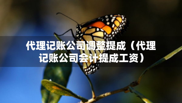 代理記賬公司調(diào)整提成（代理記賬公司會計提成工資）