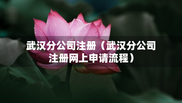 武漢分公司注冊（武漢分公司注冊網(wǎng)上申請流程）