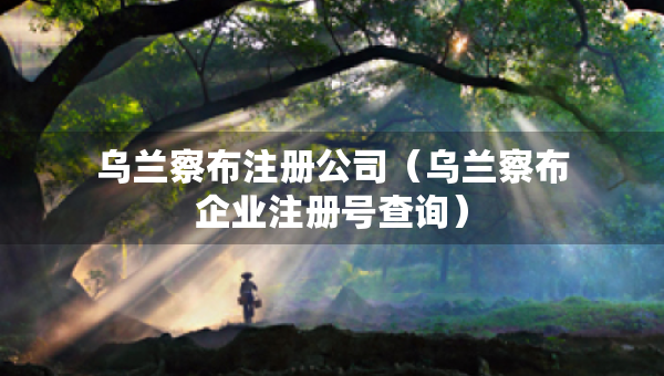 烏蘭察布注冊(cè)公司（烏蘭察布企業(yè)注冊(cè)號(hào)查詢）