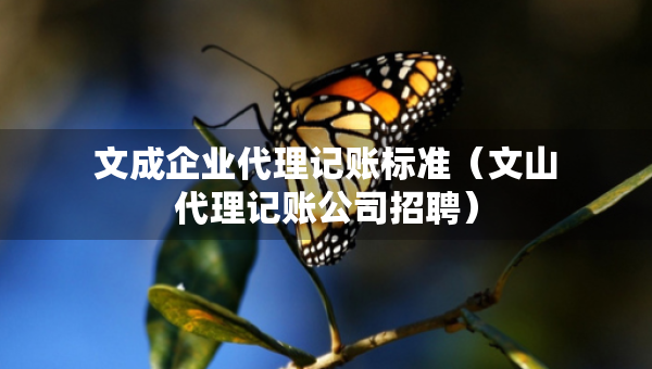 文成企業(yè)代理記賬標(biāo)準(zhǔn)（文山代理記賬公司招聘）