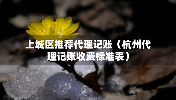 上城區(qū)推薦代理記賬（杭州代理記賬收費標準表）