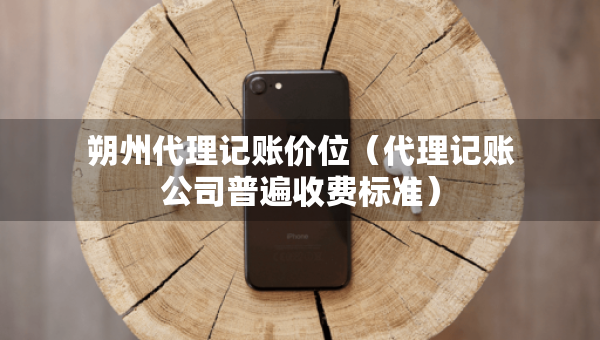 朔州代理記賬價(jià)位（代理記賬公司普遍收費(fèi)標(biāo)準(zhǔn)）