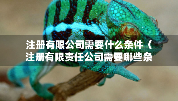 注冊(cè)有限公司需要什么條件（注冊(cè)有限責(zé)任公司需要哪些條件）