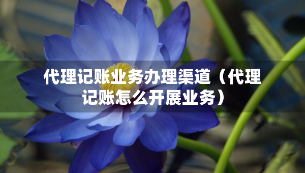 代理記賬業(yè)務(wù)辦理渠道（代理記賬怎么開展業(yè)務(wù)）