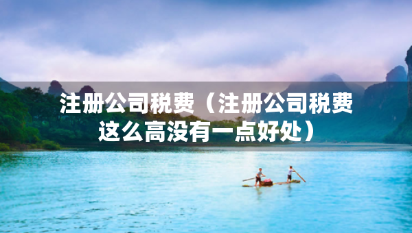 注冊公司稅費(fèi)（注冊公司稅費(fèi)這么高沒有一點(diǎn)好處）