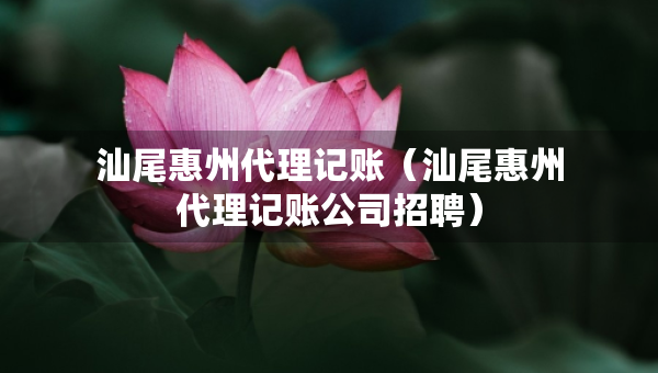 汕尾惠州代理記賬（汕尾惠州代理記賬公司招聘）