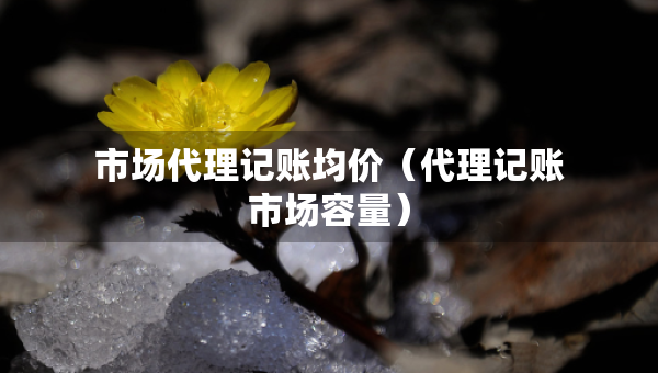 市場代理記賬均價（代理記賬市場容量）