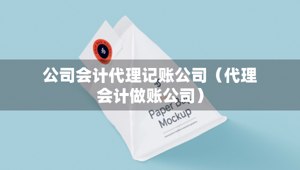 公司會計代理記賬公司（代理會計做賬公司）