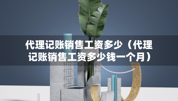 代理記賬銷售工資多少（代理記賬銷售工資多少錢一個月）