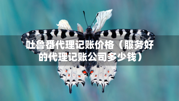 吐魯番代理記賬價格（服務(wù)好的代理記賬公司多少錢）