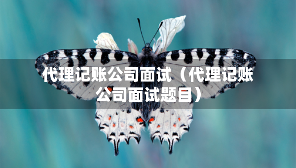 代理記賬公司面試（代理記賬公司面試題目）