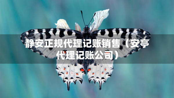 靜安正規(guī)代理記賬銷售（安亭代理記賬公司）