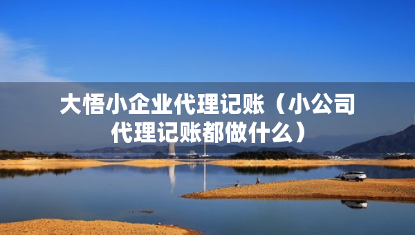 大悟小企業(yè)代理記賬（小公司代理記賬都做什么）