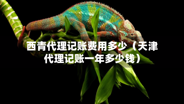 西青代理記賬費用多少（天津代理記賬一年多少錢）