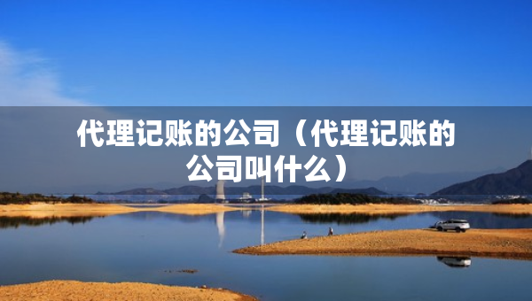 代理記賬的公司（代理記賬的公司叫什么）