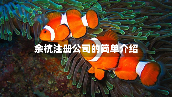 余杭注冊公司的簡單介紹