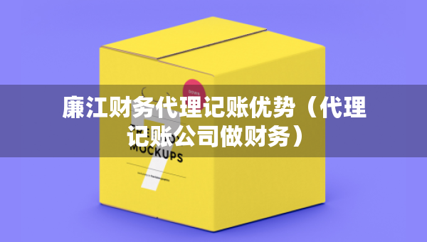 廉江財(cái)務(wù)代理記賬優(yōu)勢（代理記賬公司做財(cái)務(wù)）