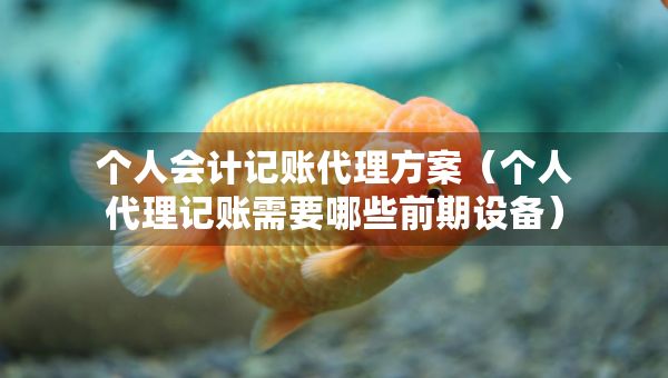個(gè)人會(huì)計(jì)記賬代理方案（個(gè)人代理記賬需要哪些前期設(shè)備）