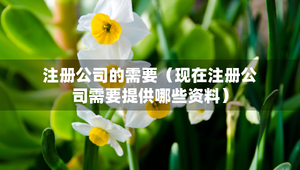 注冊公司的需要（現(xiàn)在注冊公司需要提供哪些資料）