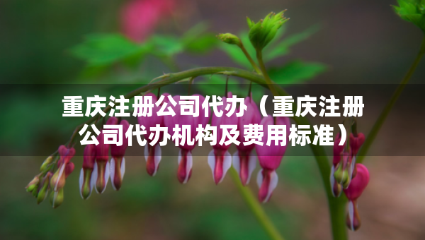重慶注冊(cè)公司代辦（重慶注冊(cè)公司代辦機(jī)構(gòu)及費(fèi)用標(biāo)準(zhǔn)）