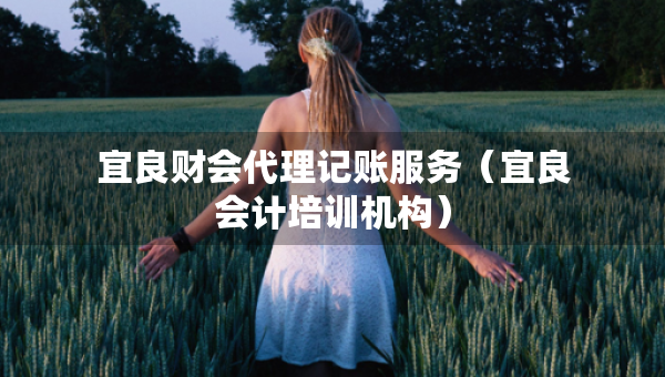 宜良財(cái)會(huì)代理記賬服務(wù)（宜良會(huì)計(jì)培訓(xùn)機(jī)構(gòu)）
