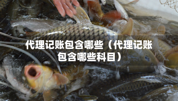 代理記賬包含哪些（代理記賬包含哪些科目）
