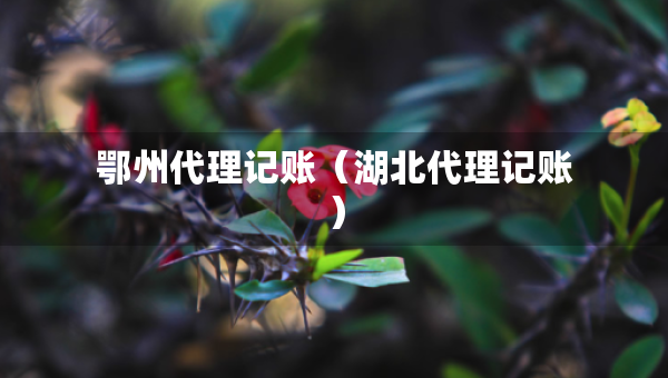 鄂州代理記賬（湖北代理記賬）