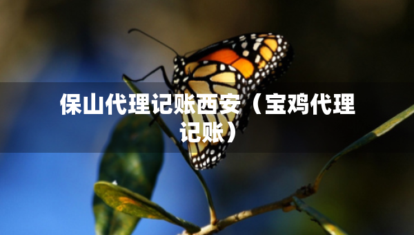 保山代理記賬西安（寶雞代理記賬）