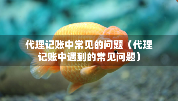代理記賬中常見(jiàn)的問(wèn)題（代理記賬中遇到的常見(jiàn)問(wèn)題）