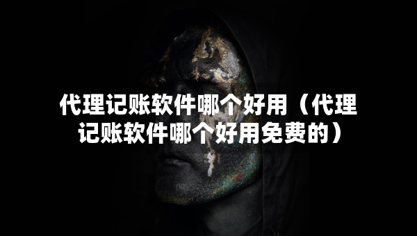代理記賬軟件哪個好用（代理記賬軟件哪個好用免費的）