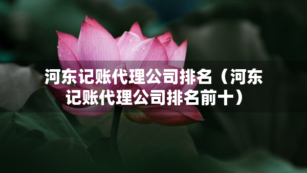 河?xùn)|記賬代理公司排名（河?xùn)|記賬代理公司排名前十）