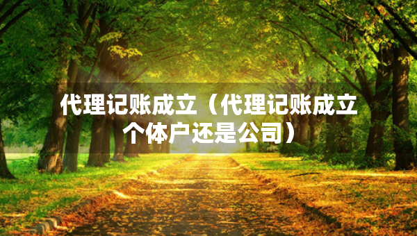 代理記賬成立（代理記賬成立個(gè)體戶還是公司）